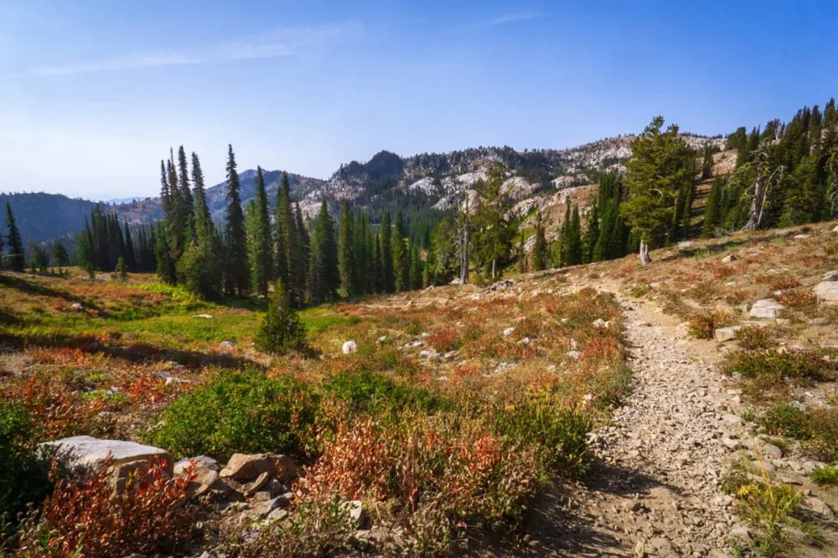 Mountain trail through an alpine meadow near Cascade, Idaho